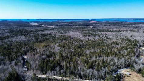 Tbd Duck Cove Road Roque Bluffs ME 04654