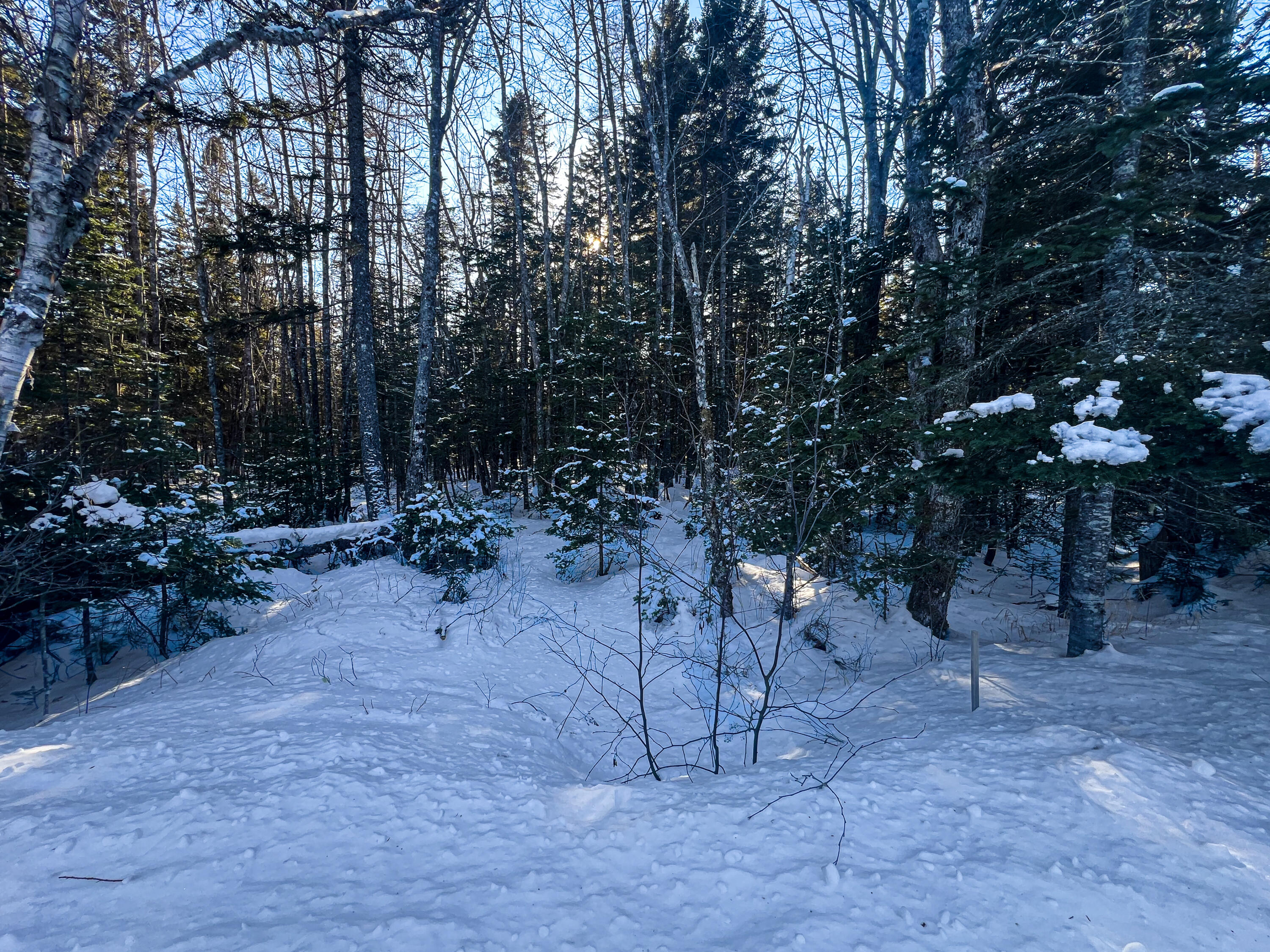 Tbd Duck Cove Road Roque Bluffs ME 04654