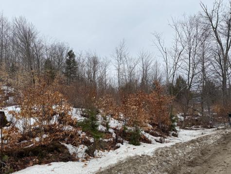 Buckfield ME 04220