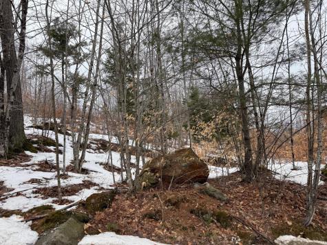 Buckfield ME 04220