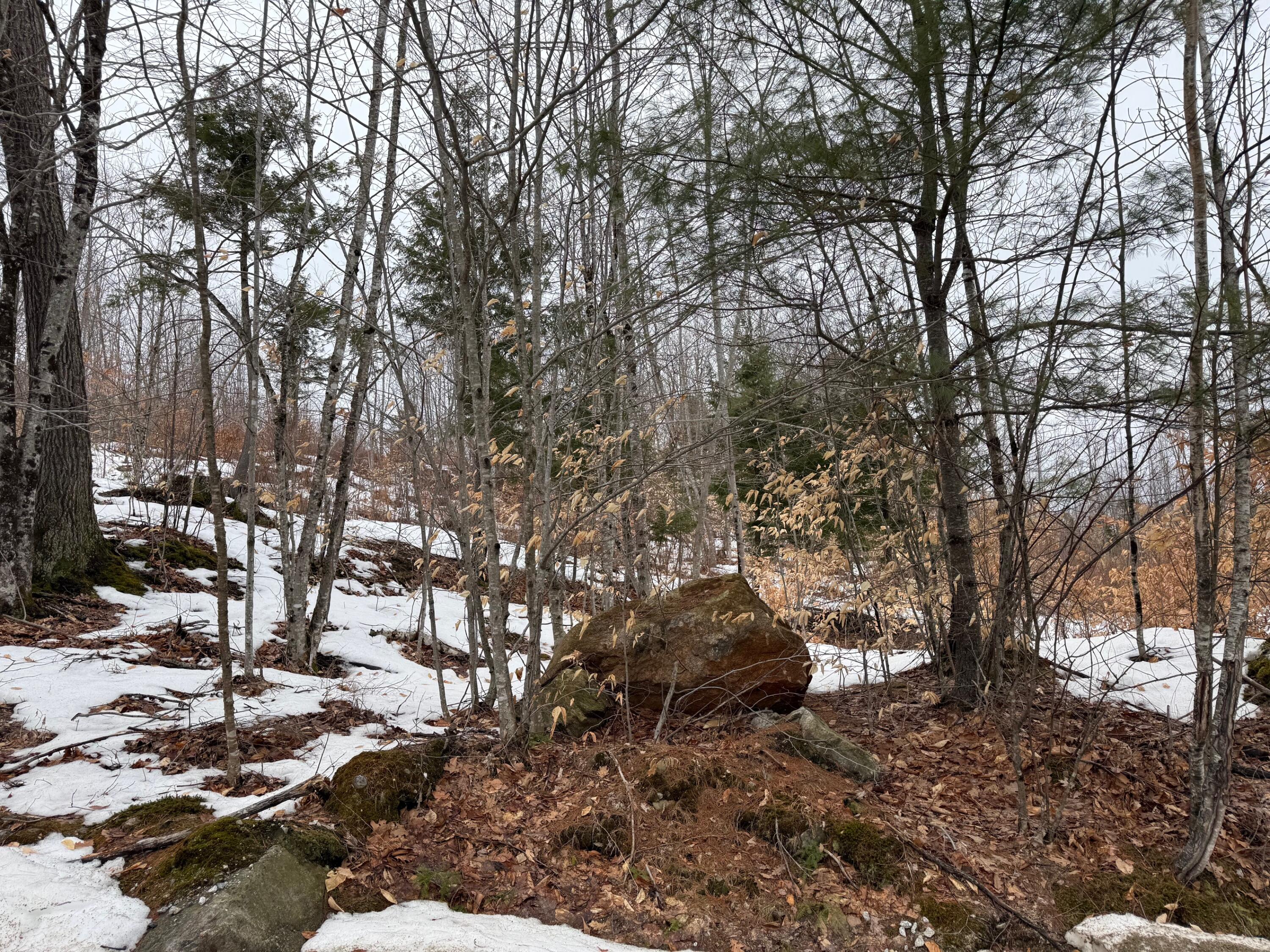 Buckfield ME 04220