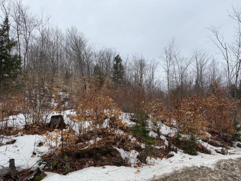Buckfield ME 04220