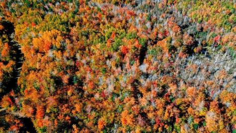 Mr14 L19 Mud Pond Road Phillips ME 04966