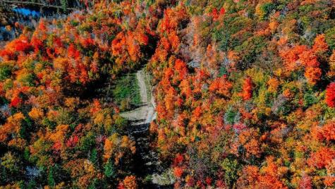 Mr14 L19 Mud Pond Road Phillips ME 04966