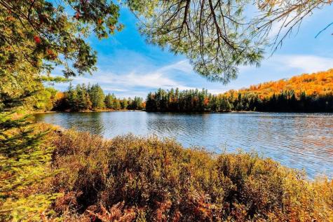 Mr14 L19 Mud Pond Road Phillips ME 04966