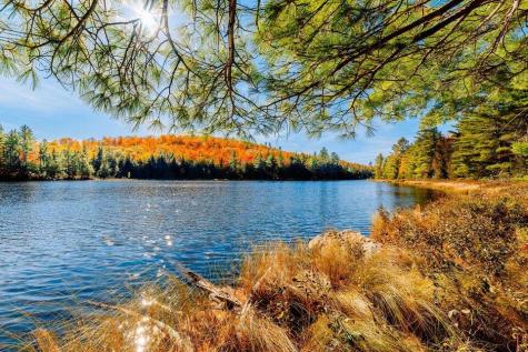 Mr14 L19 Mud Pond Road Phillips ME 04966