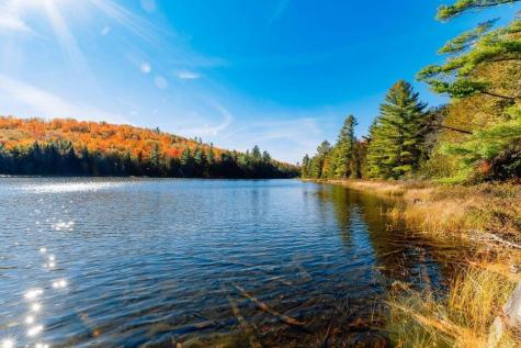 Mr14 L19 Mud Pond Road Phillips ME 04966