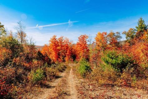 Mr14 L19 Mud Pond Road Phillips ME 04966