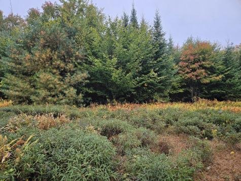 85 Loon Road Embden ME 04958