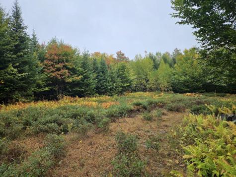 85 Loon Road Embden ME 04958