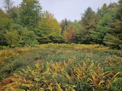 85 Loon Road Embden ME 04958