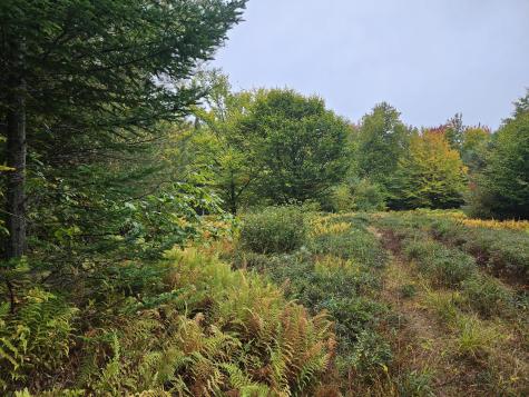 85 Loon Road Embden ME 04958