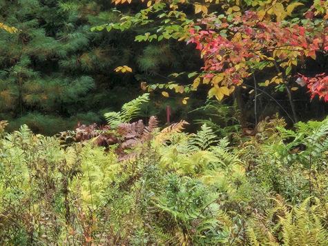 85 Loon Road Embden ME 04958