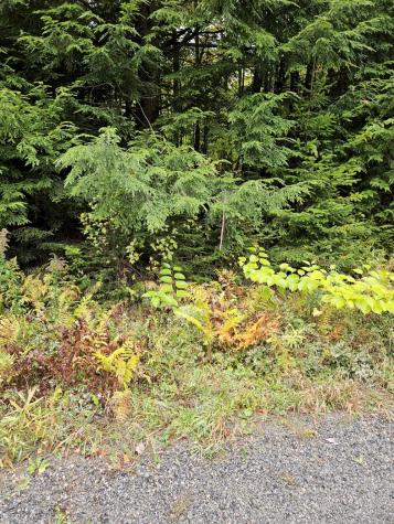 85 Loon Road Embden ME 04958