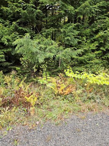 85 Loon Road Embden ME 04958