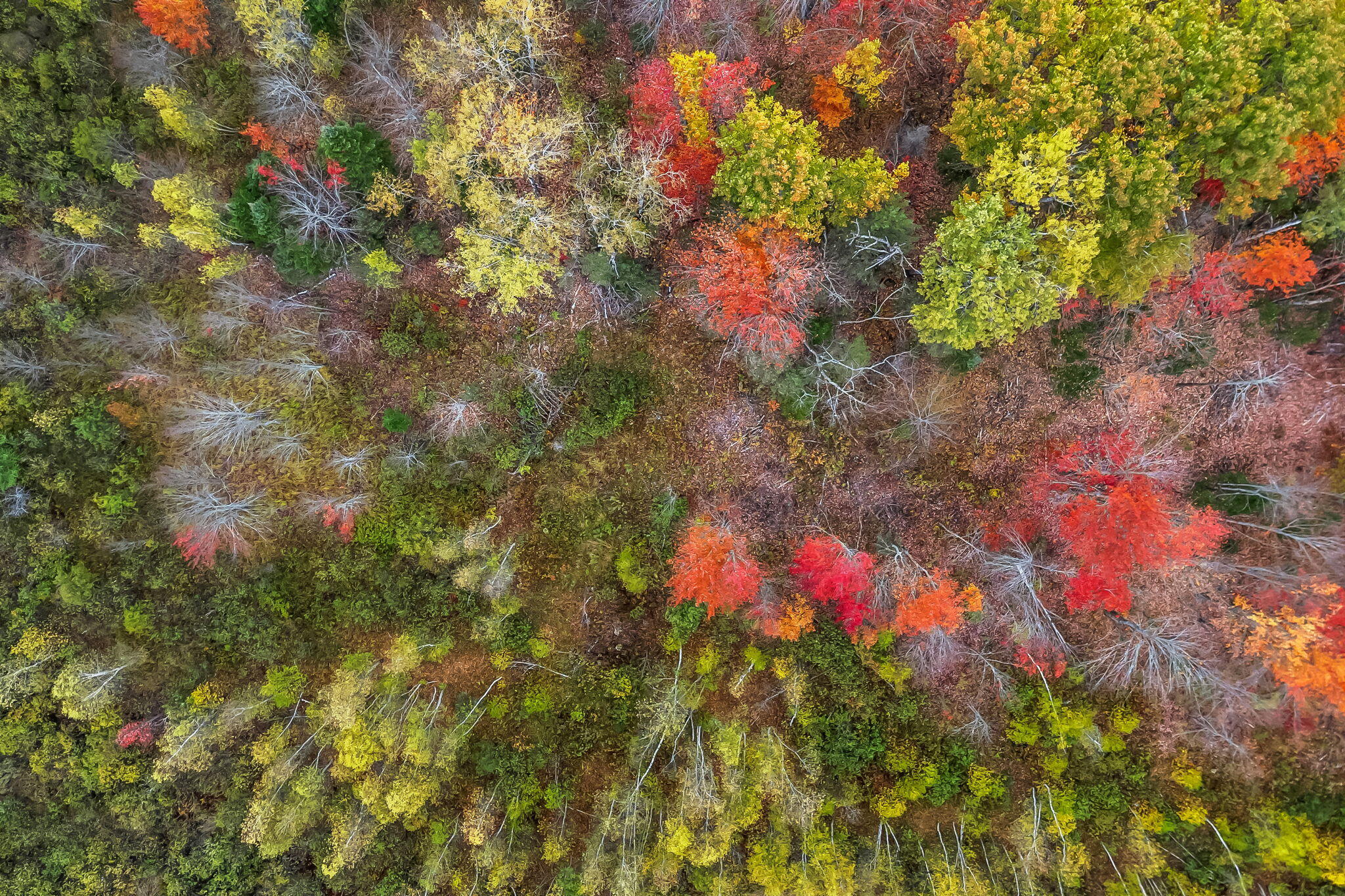 Lot # 17 West Old Town Road Old Town ME 04468