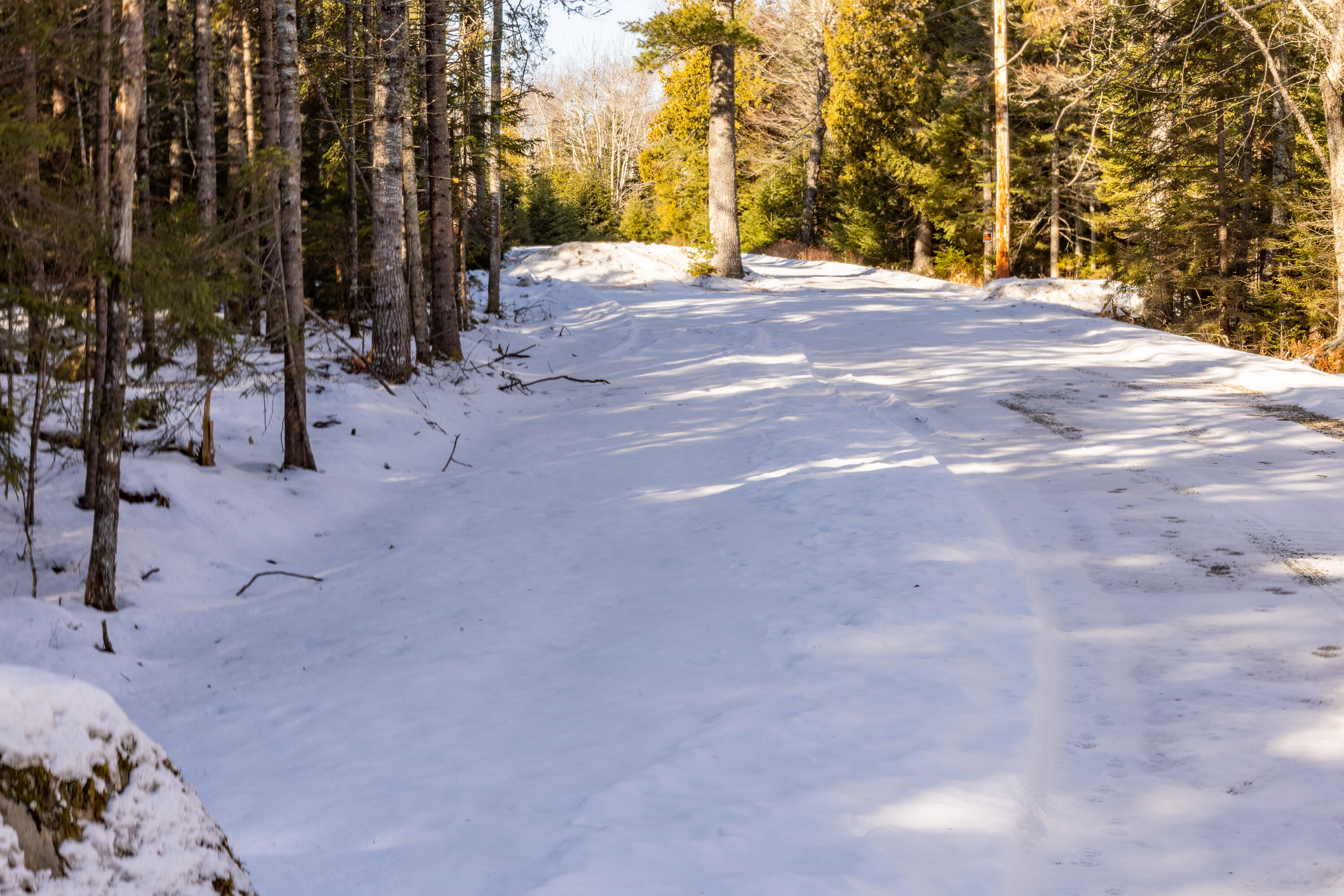 10-4M Forest Hill Surry ME 04684