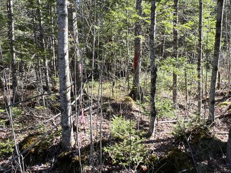 Lot 22 Schoodic Point Road Medford ME 04463