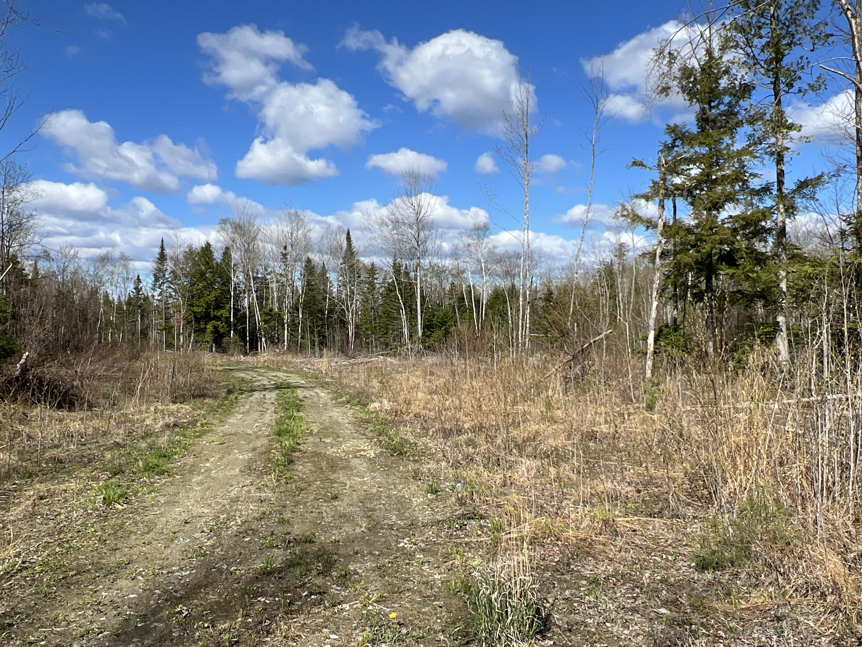 Lot 22 Schoodic Point Road Medford ME 04463