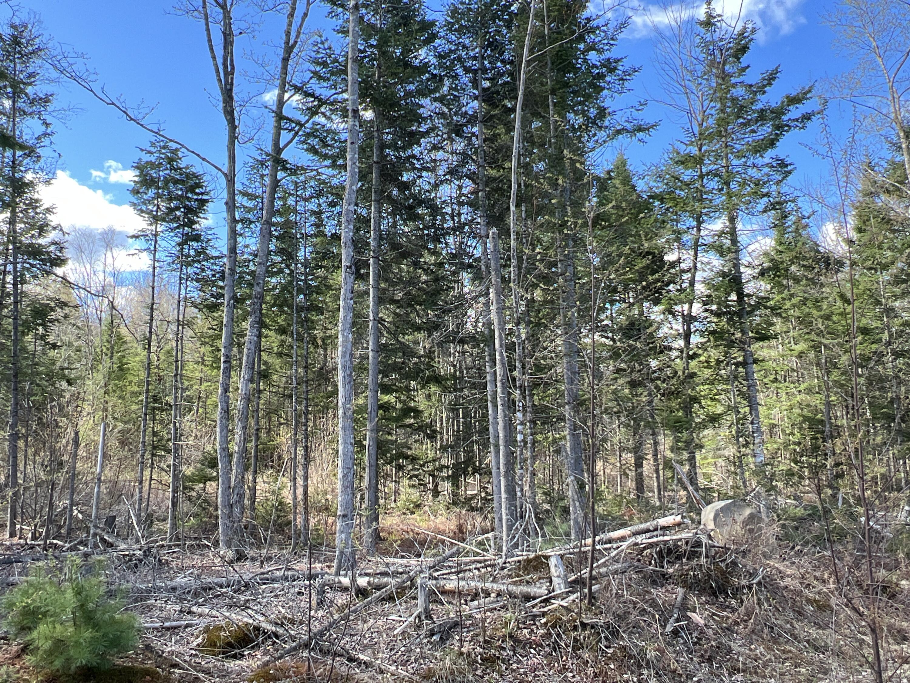 Lot 22 Schoodic Point Road Medford ME 04463