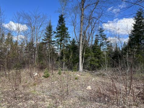 Lot 22 Schoodic Point Road Medford ME 04463