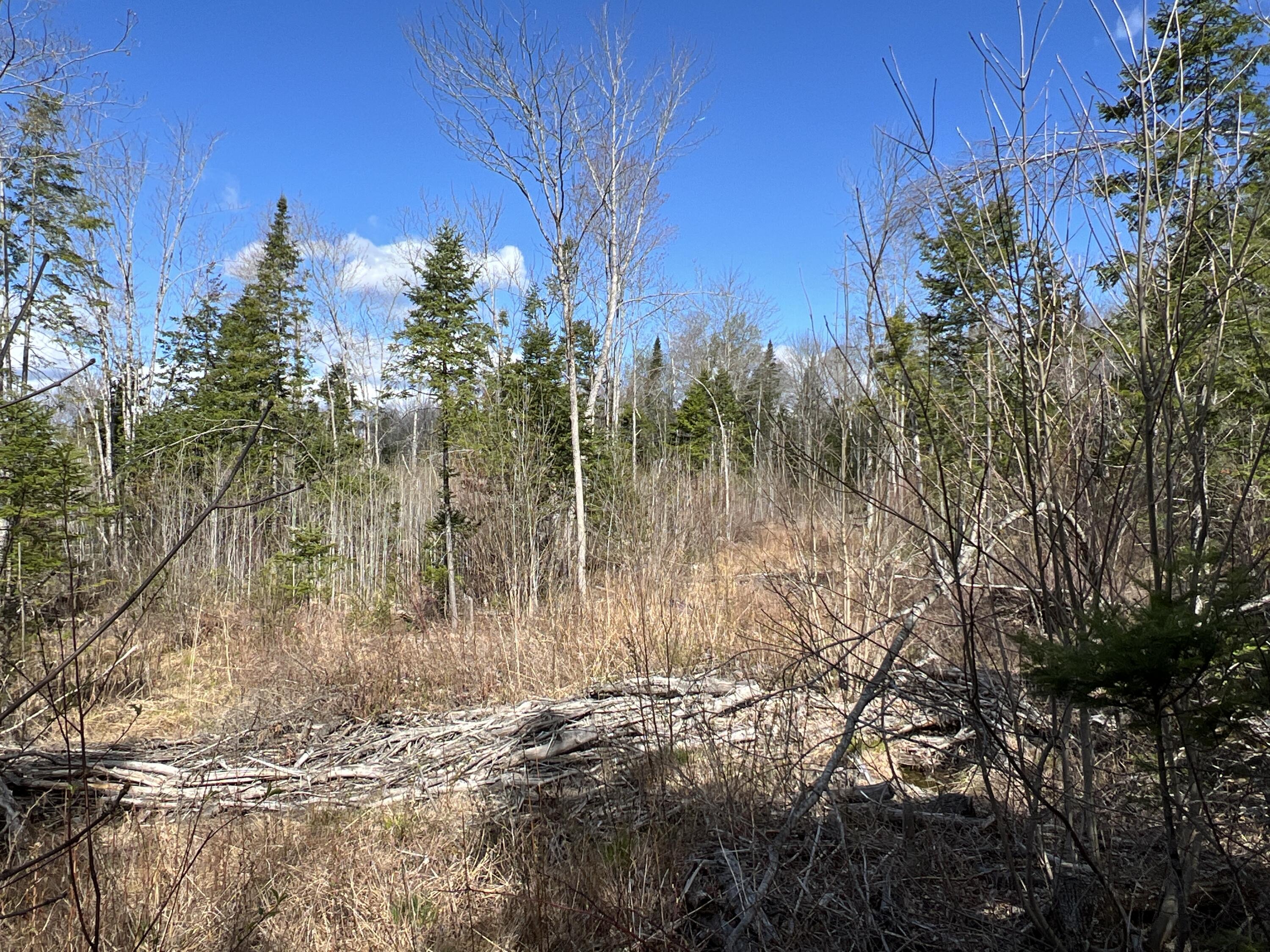 Lot 22 Schoodic Point Road Medford ME 04463