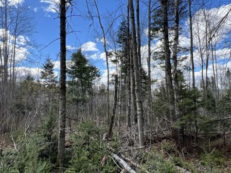 Lot 22 Schoodic Point Road Medford ME 04463