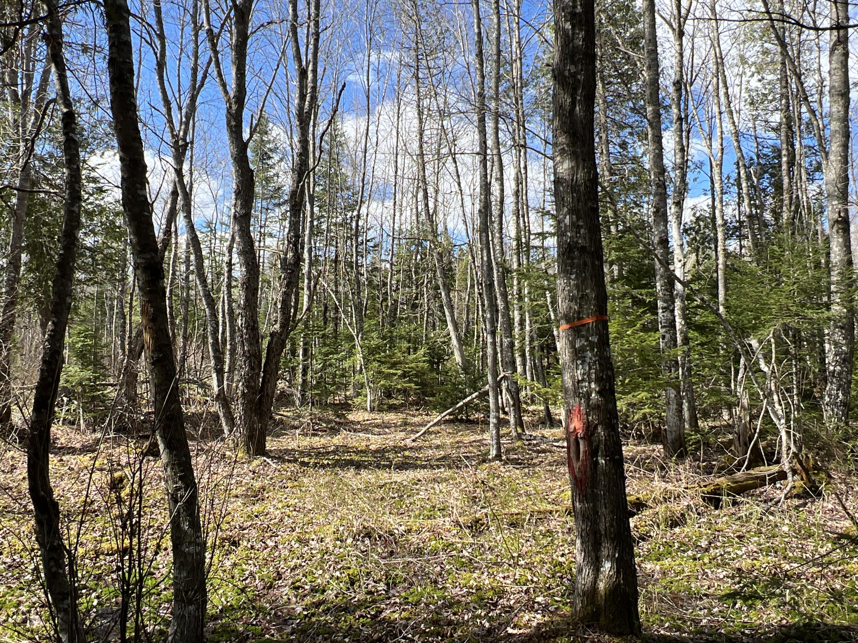 Lot 22 Schoodic Point Road Medford ME 04463