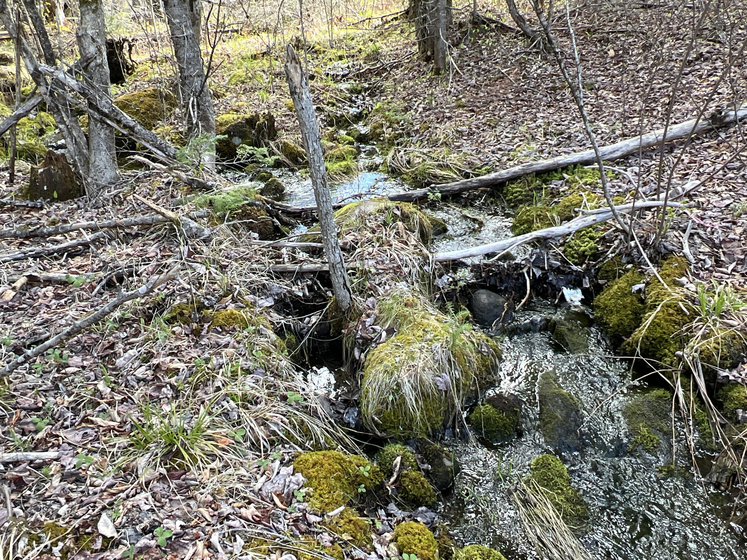 Lot 22 Schoodic Point Road Medford ME 04463