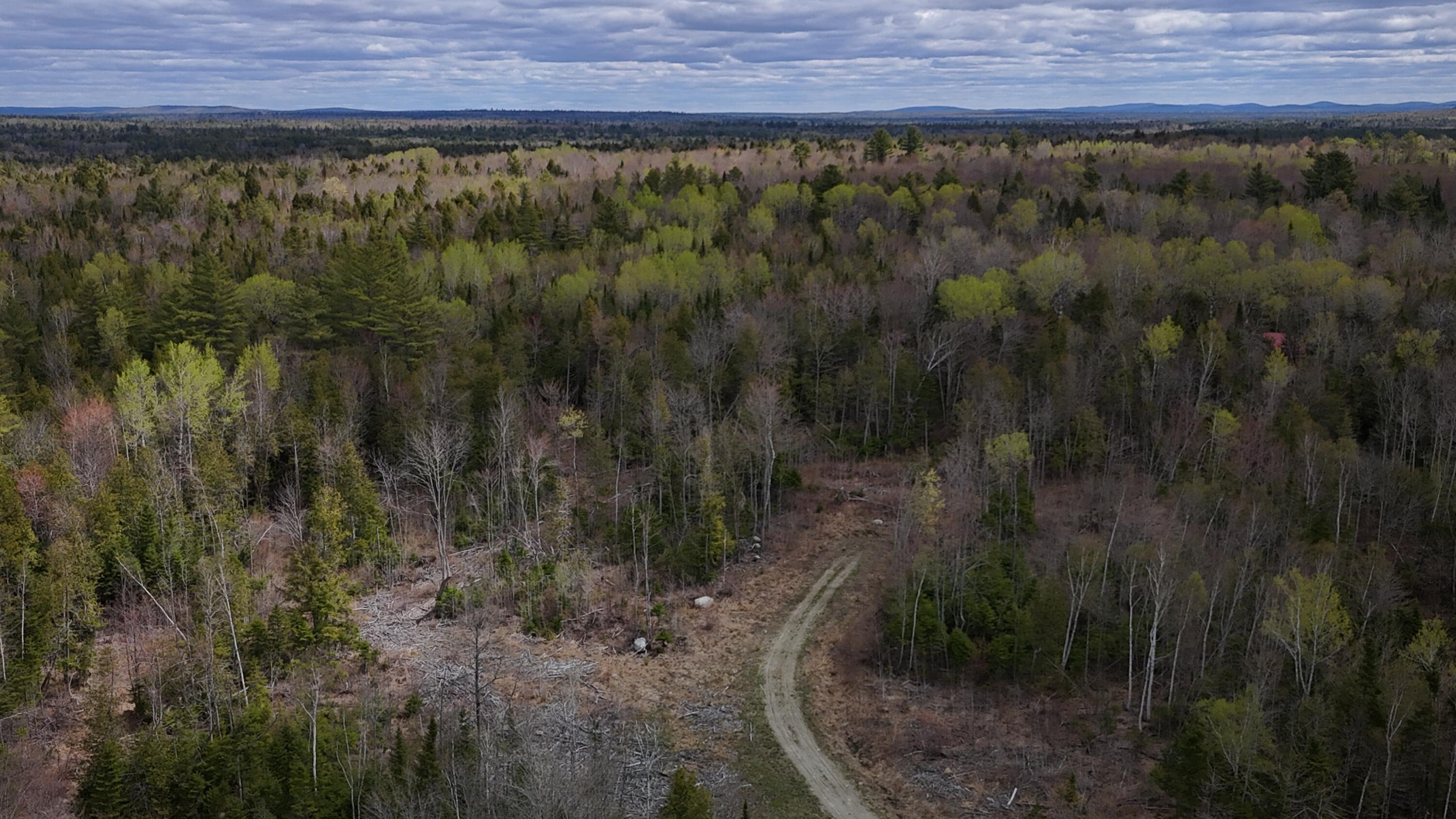 Lot 22 Schoodic Point Road Medford ME 04463