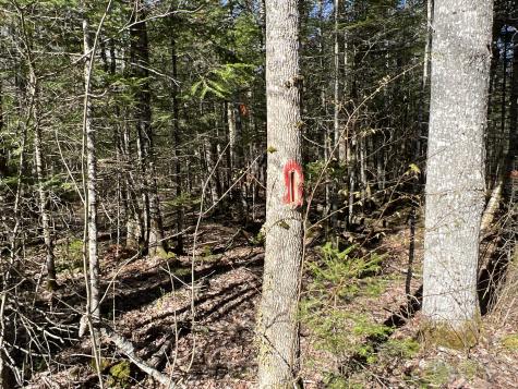 Lot 22 Schoodic Point Road Medford ME 04463
