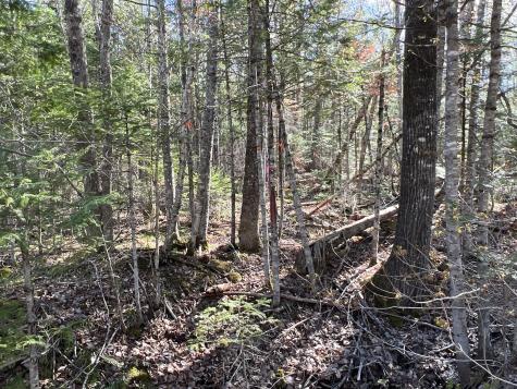 Lot 22 Schoodic Point Road Medford ME 04463