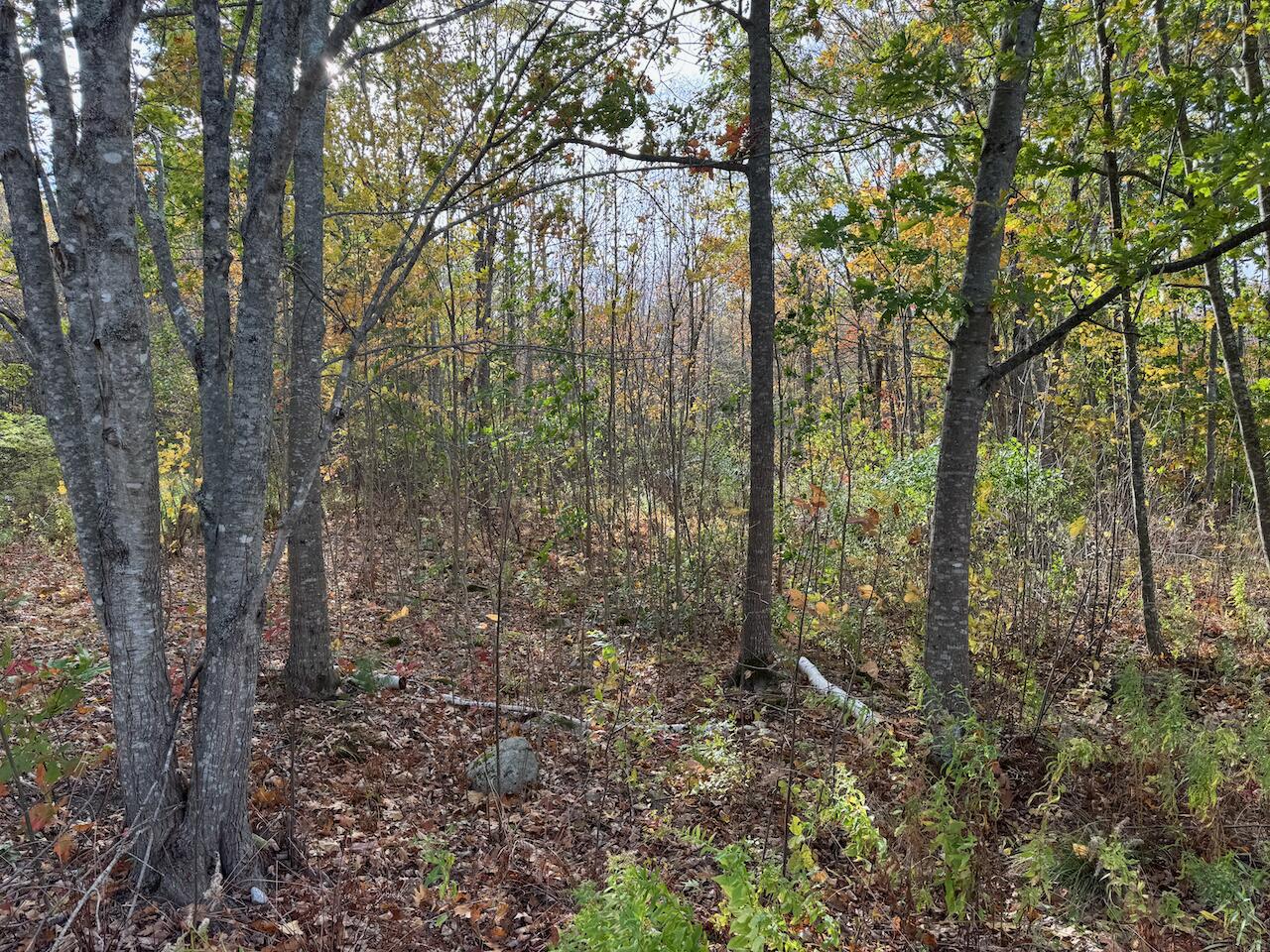 20 Turnpike Road Searsport ME 04974