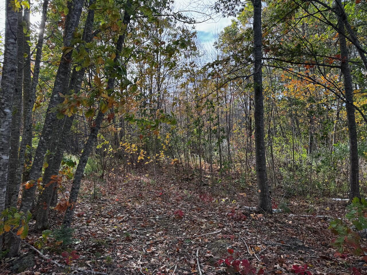 20 Turnpike Road Searsport ME 04974