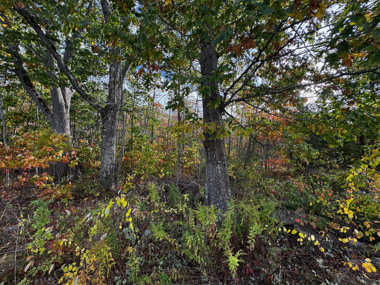 20 Turnpike Road Searsport ME 04974