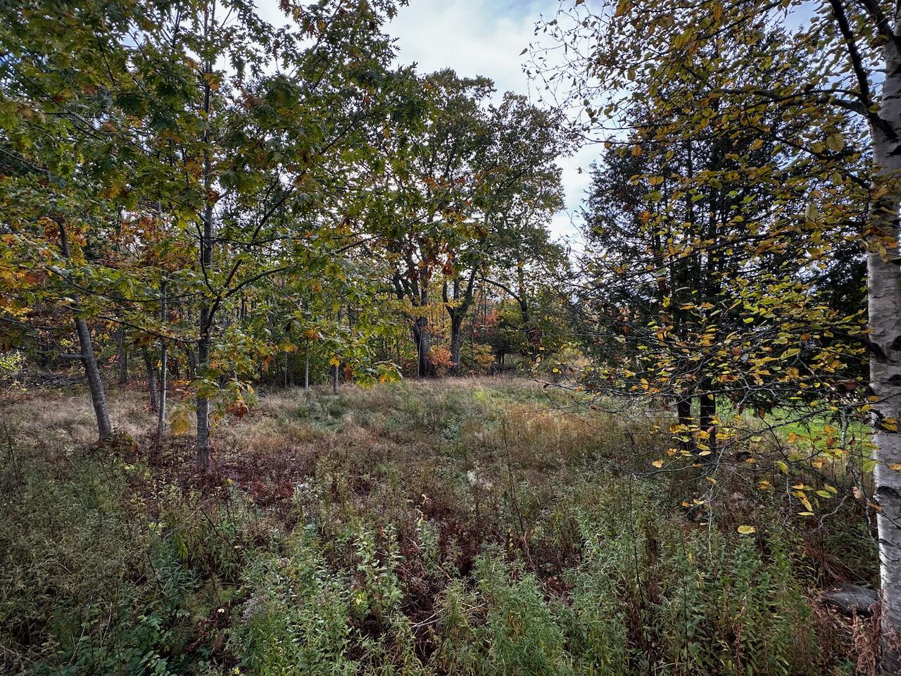 20 Turnpike Road Searsport ME 04974