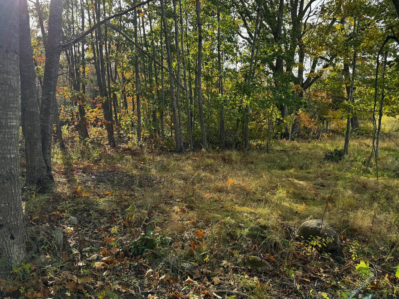 20 Turnpike Road Searsport ME 04974