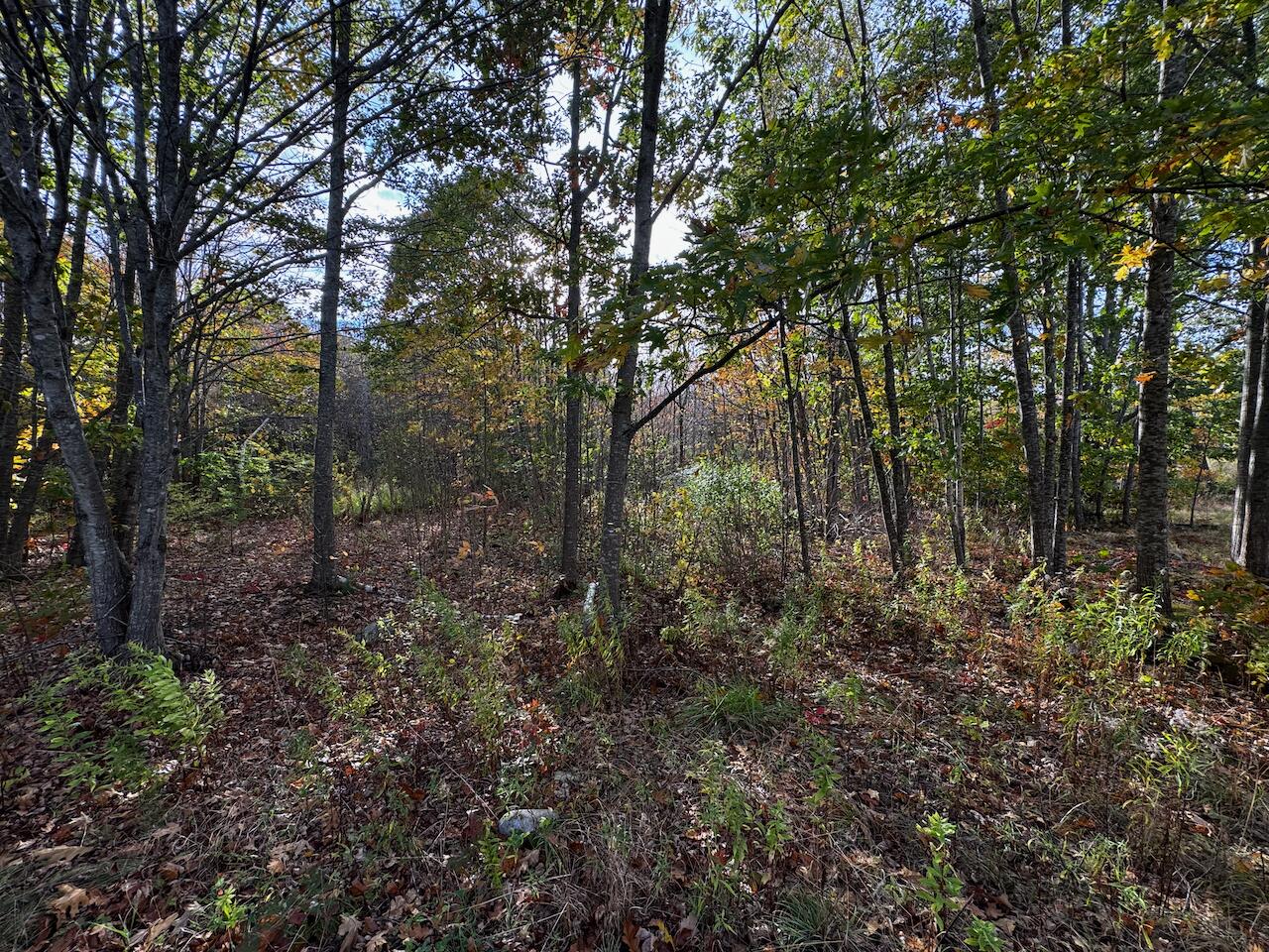 20 Turnpike Road Searsport ME 04974