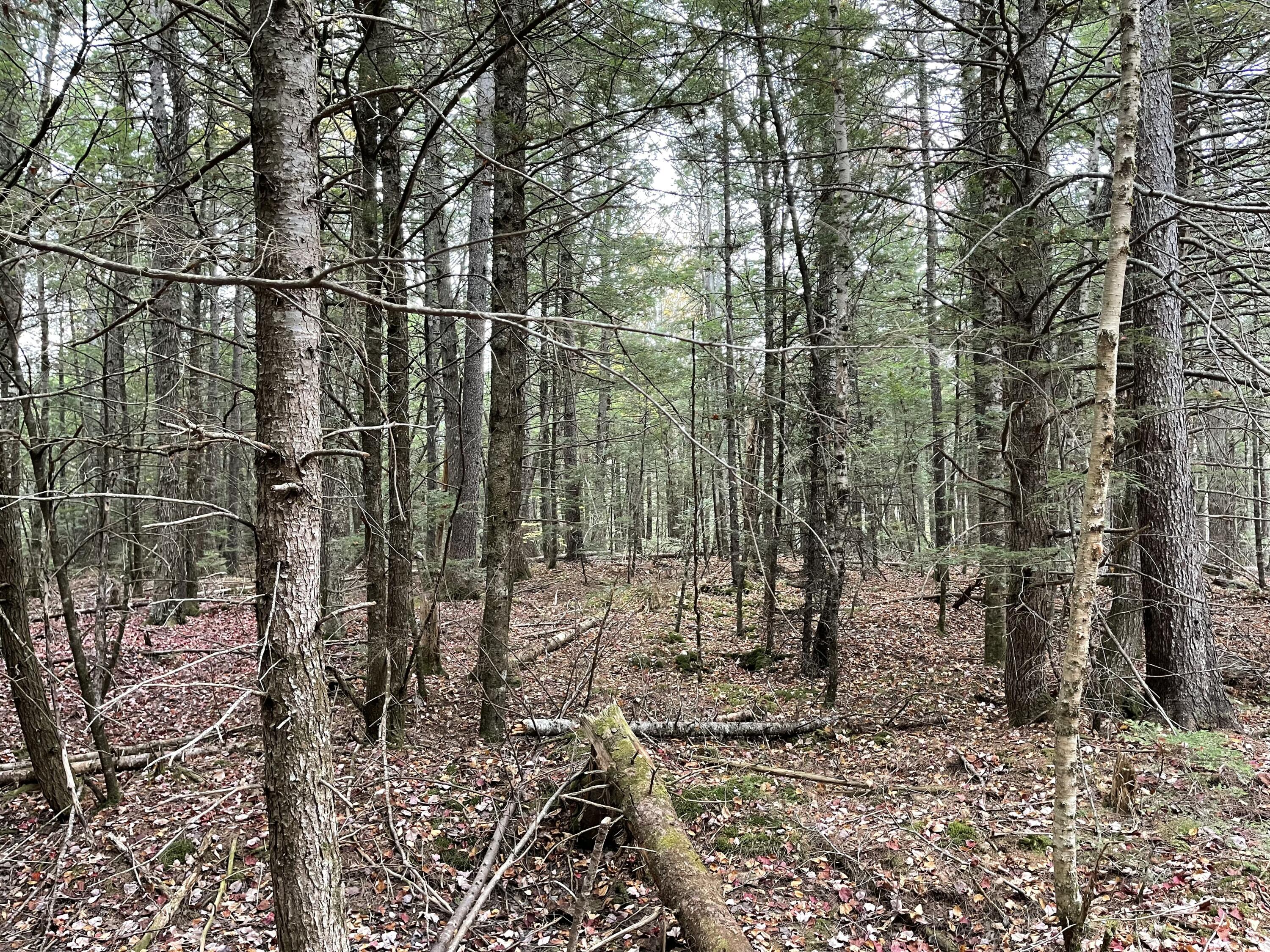 Lot 3-b West Branch Road Mariaville ME 04605