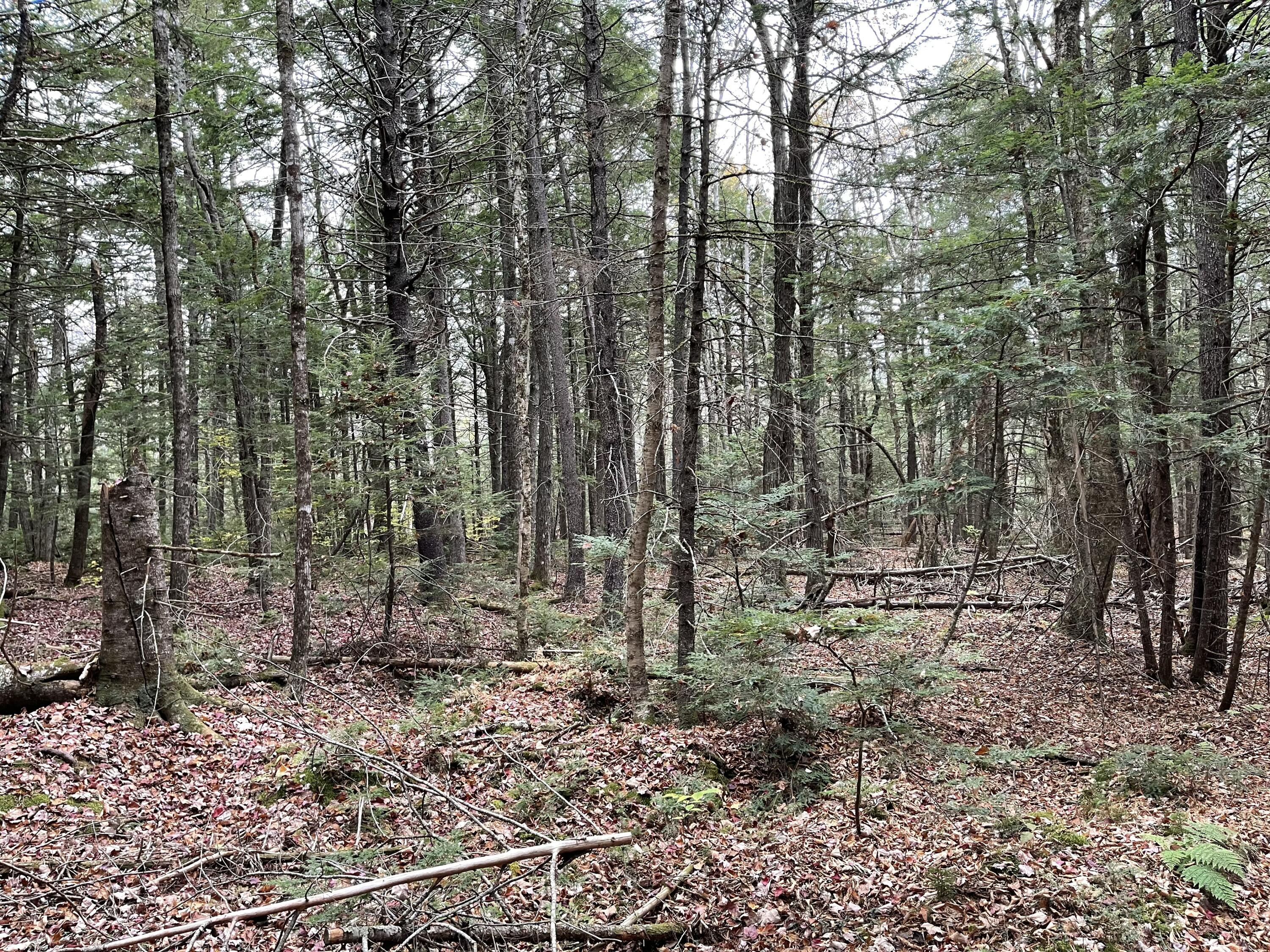 Lot 3-b West Branch Road Mariaville ME 04605
