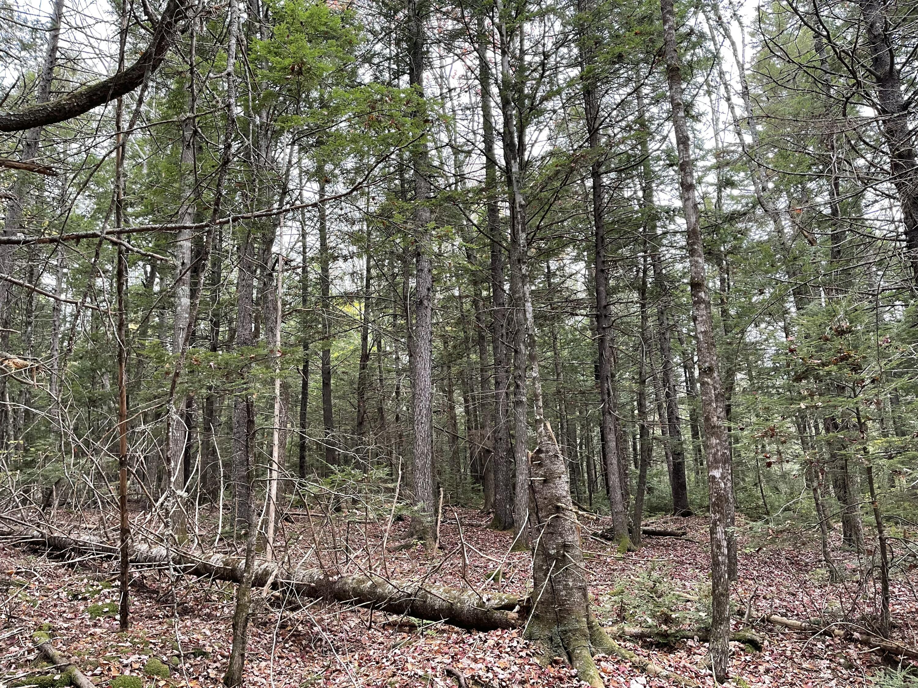 Lot 3-b West Branch Road Mariaville ME 04605