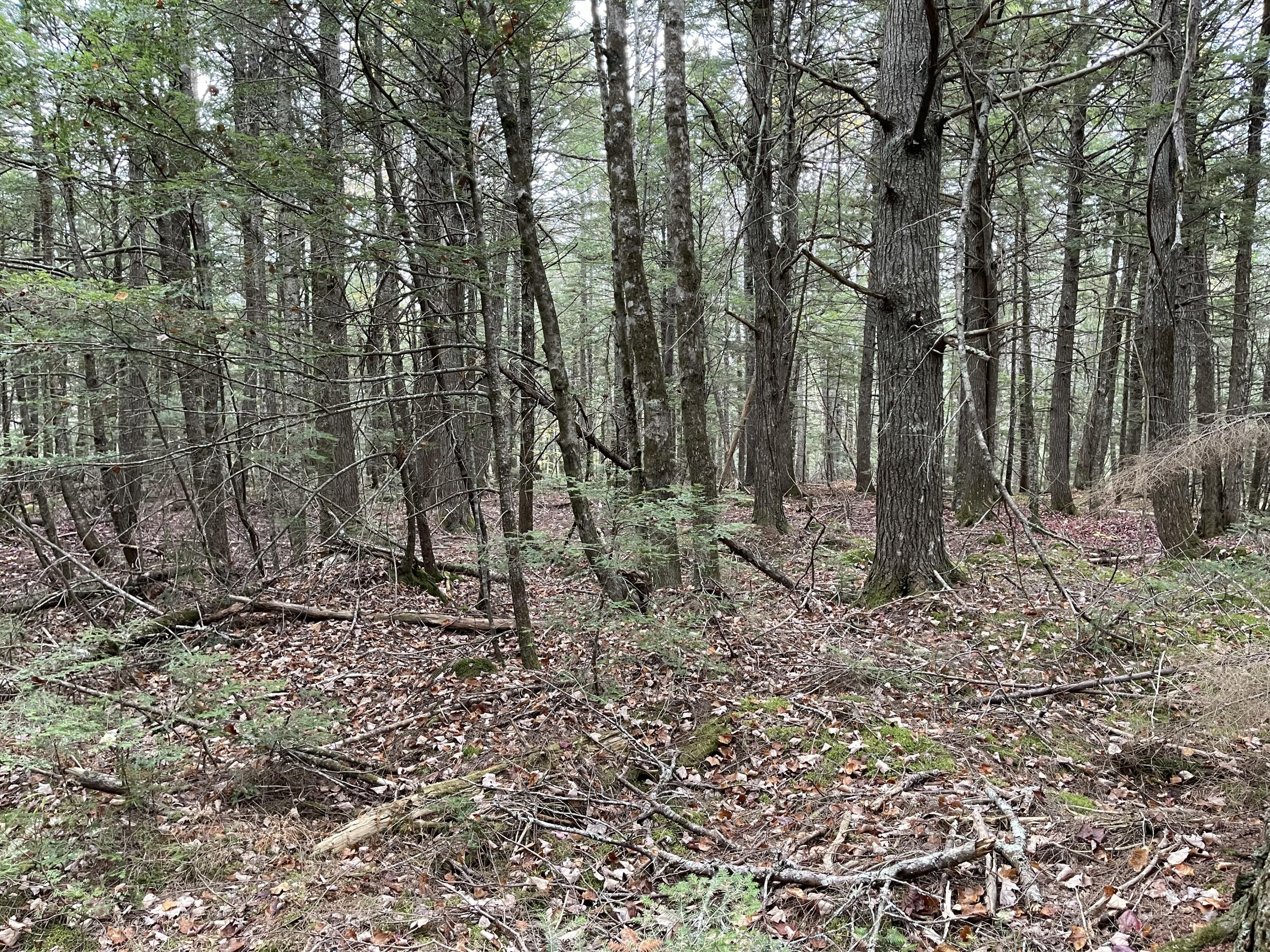 Lot 3-b West Branch Road Mariaville ME 04605
