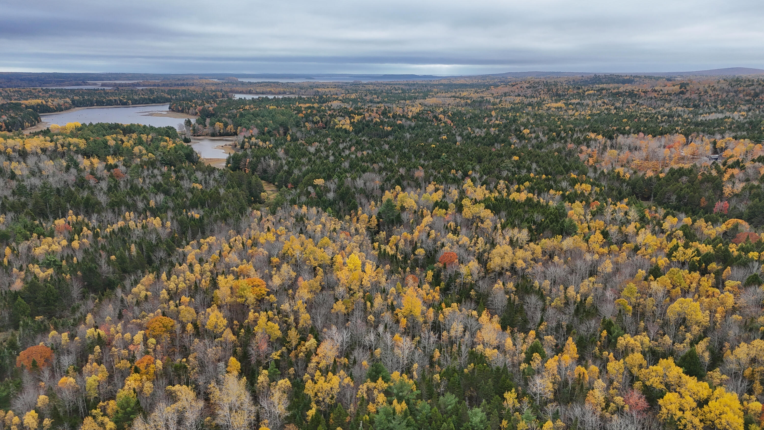 Lot 3-b West Branch Road Mariaville ME 04605