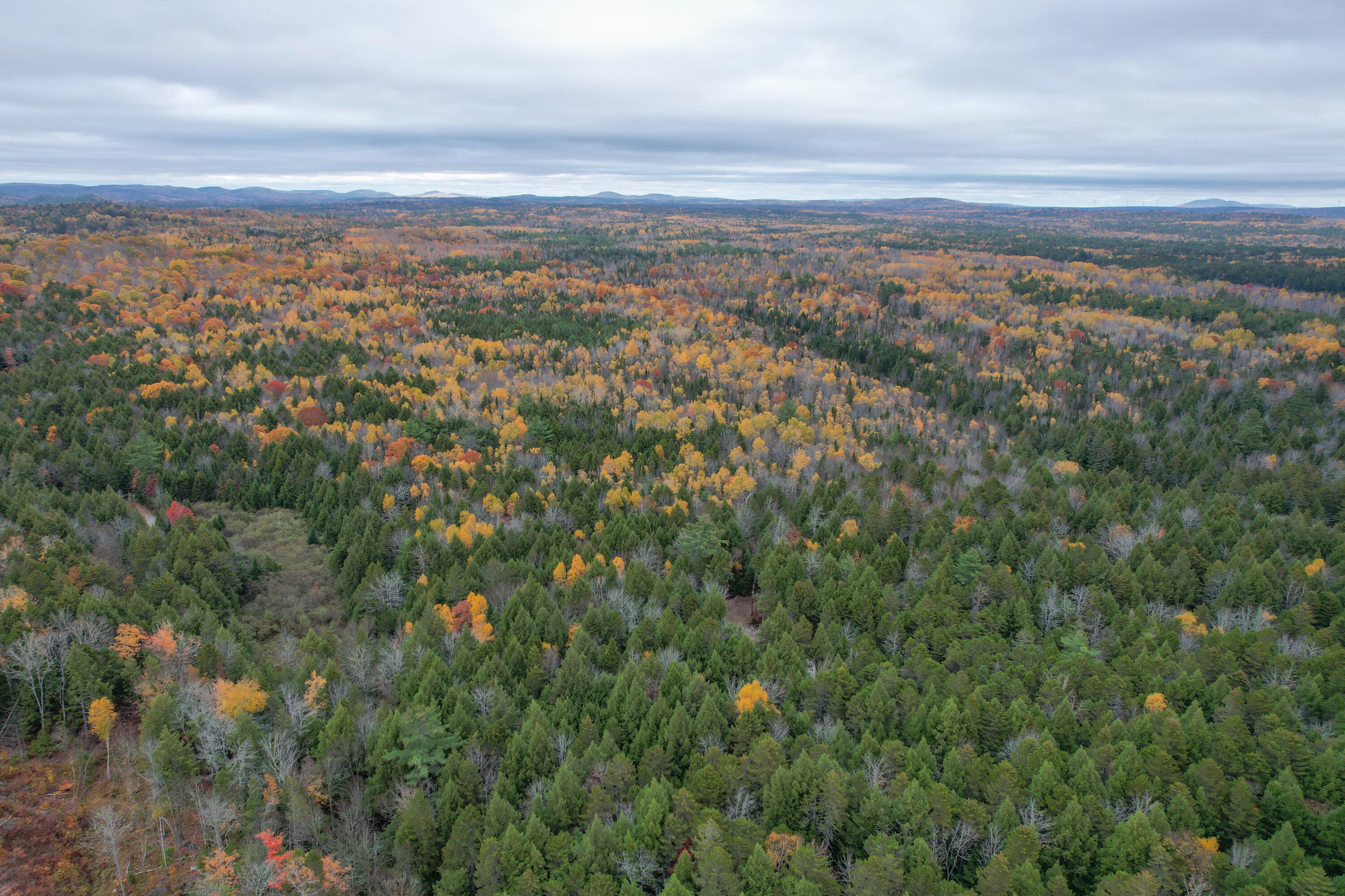 Lot 3-b West Branch Road Mariaville ME 04605