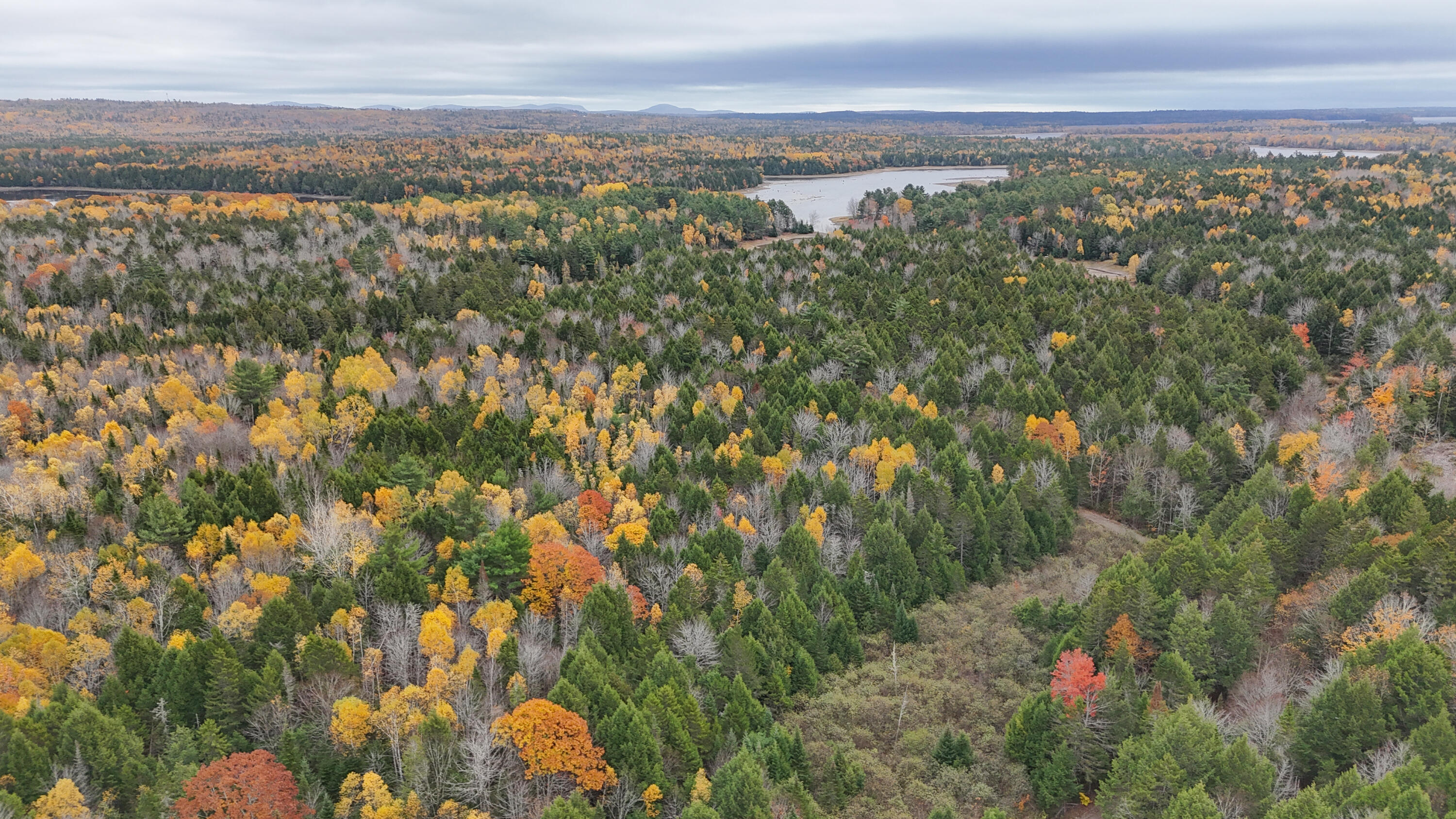 Lot 3-b West Branch Road Mariaville ME 04605
