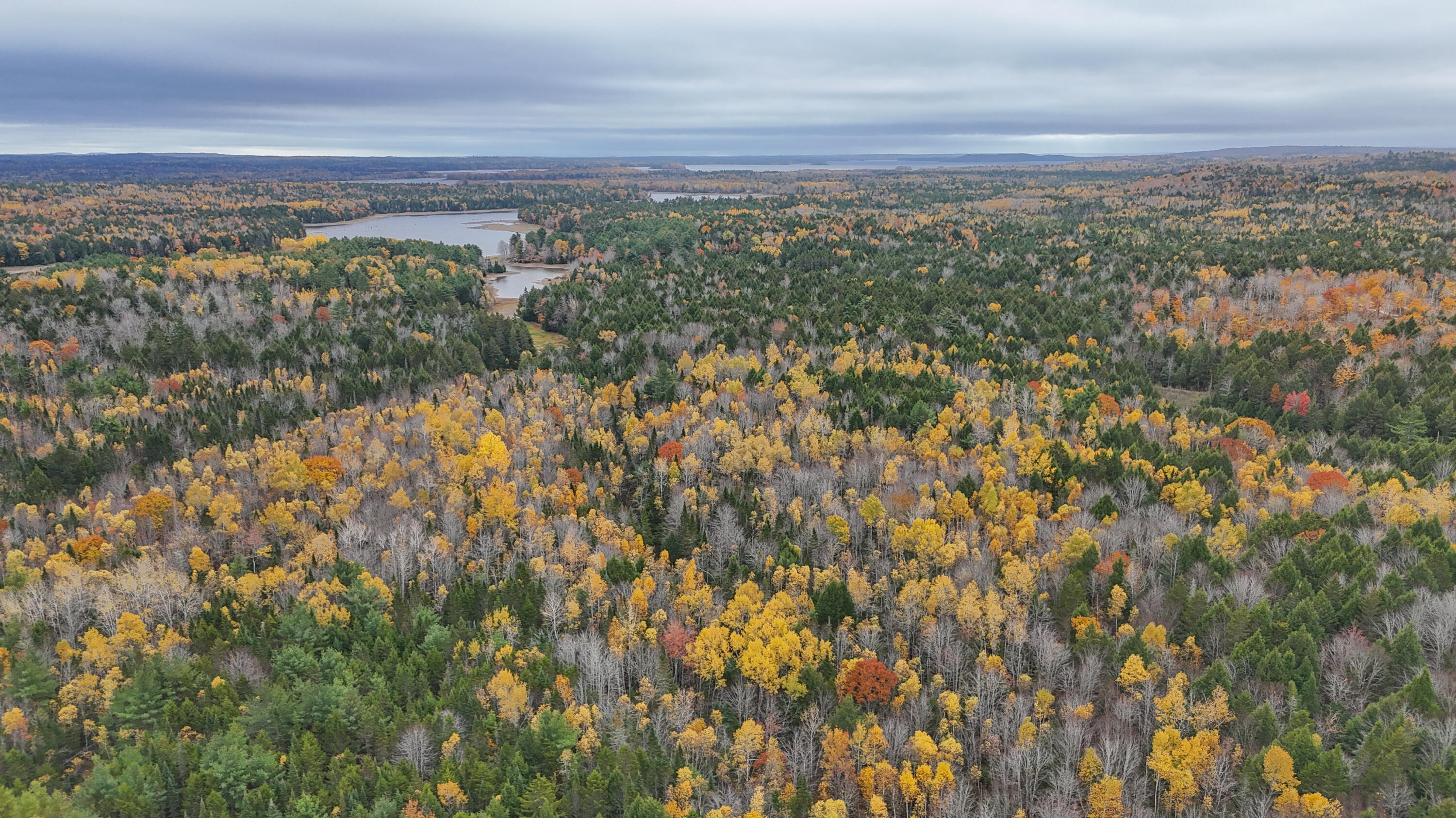 Lot 3-b West Branch Road Mariaville ME 04605