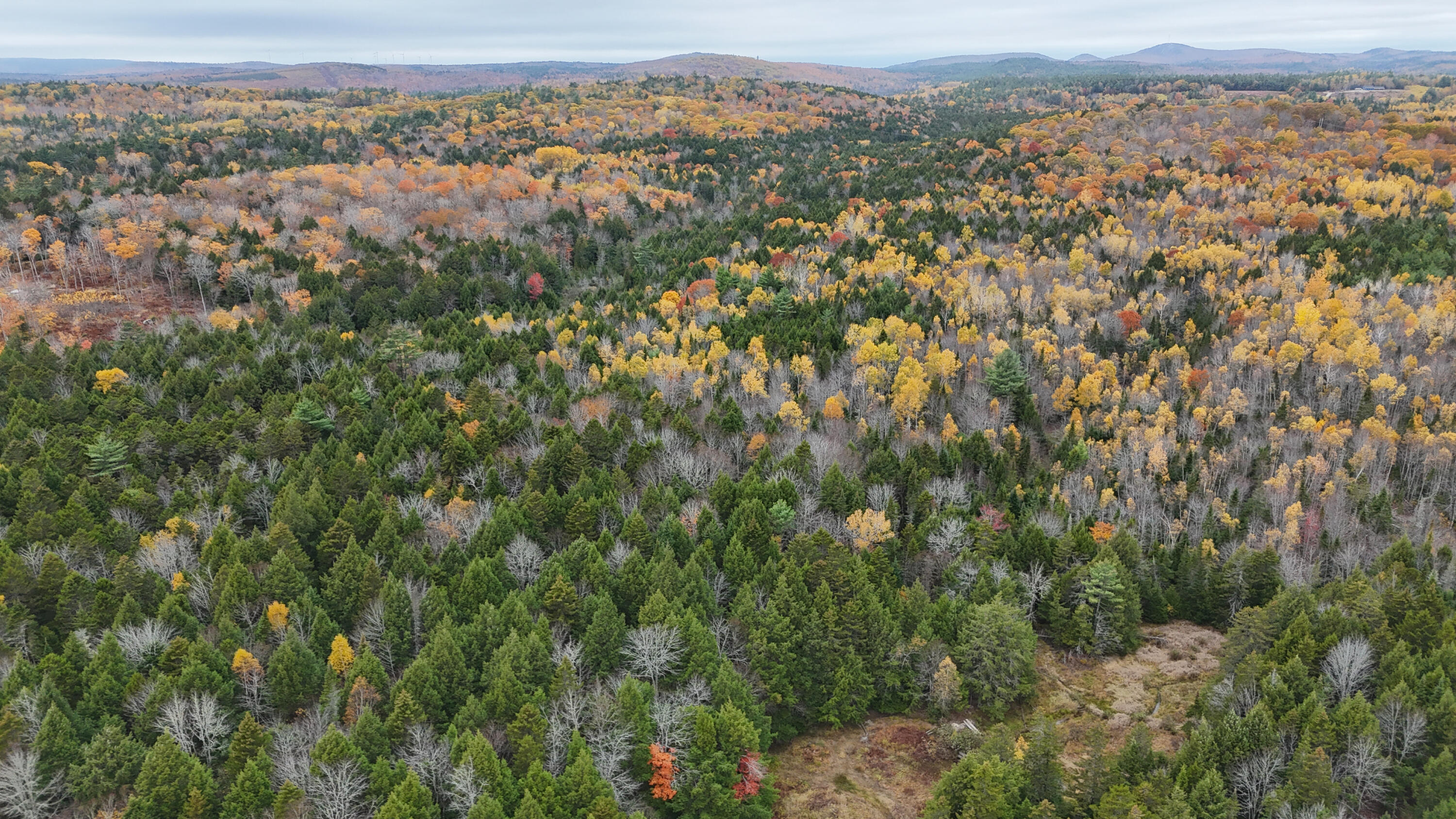 Lot 3-b West Branch Road Mariaville ME 04605