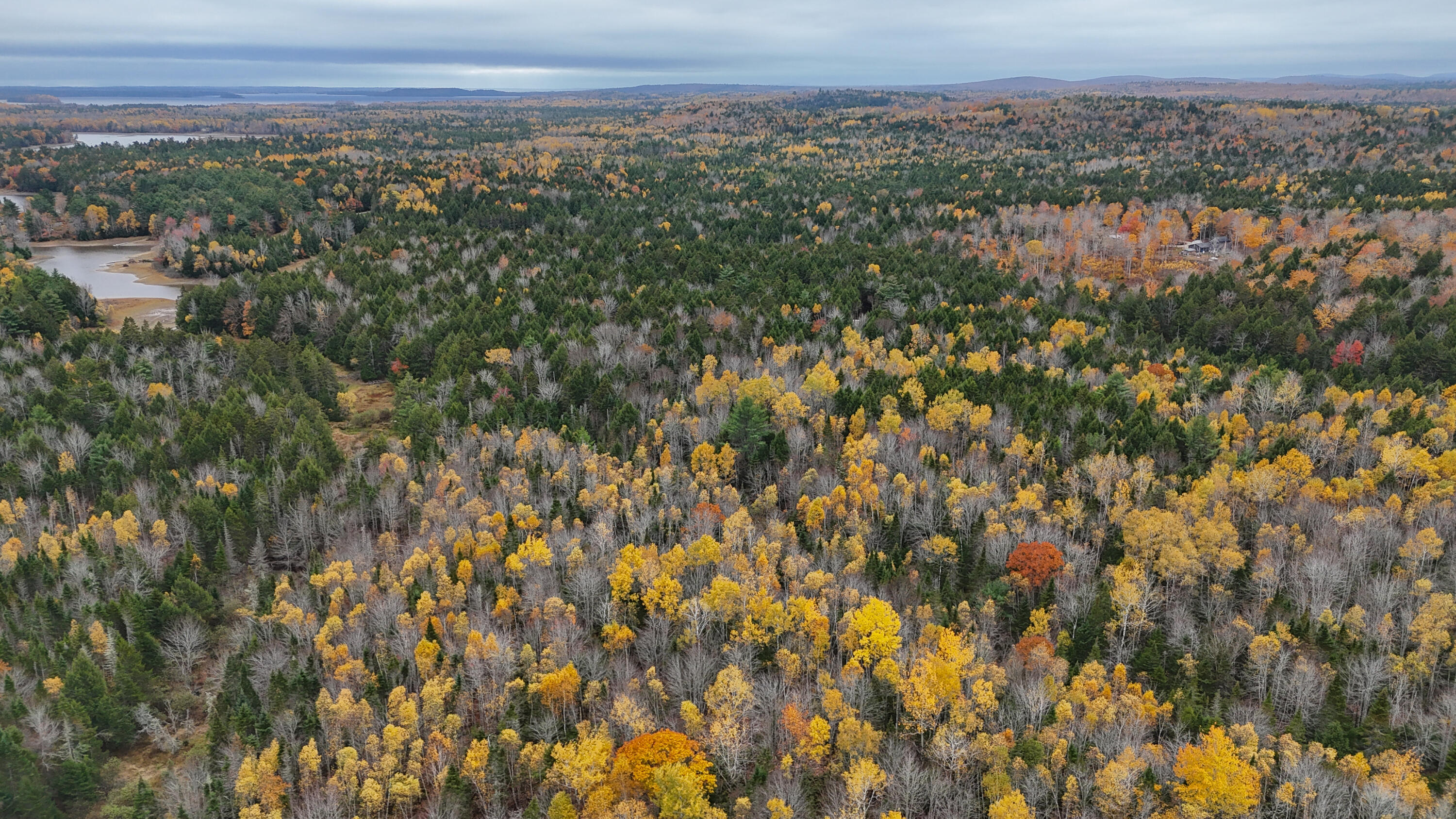 Lot 3-b West Branch Road Mariaville ME 04605