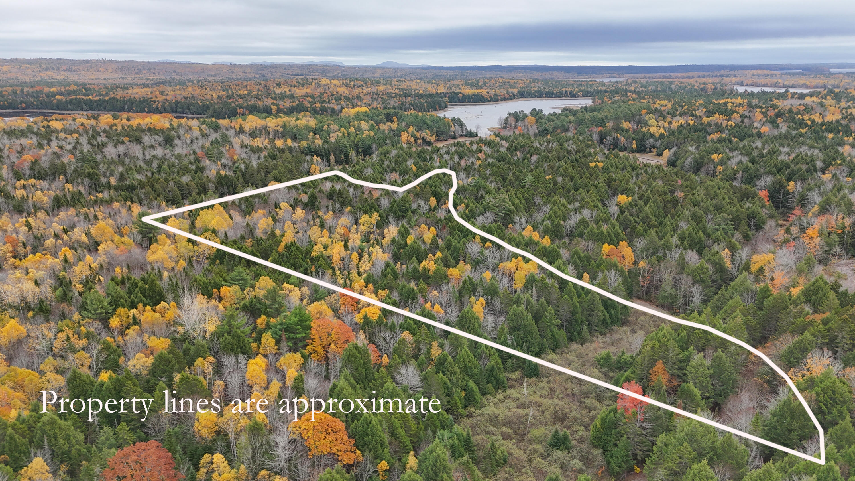 Lot 3-b West Branch Road Mariaville ME 04605