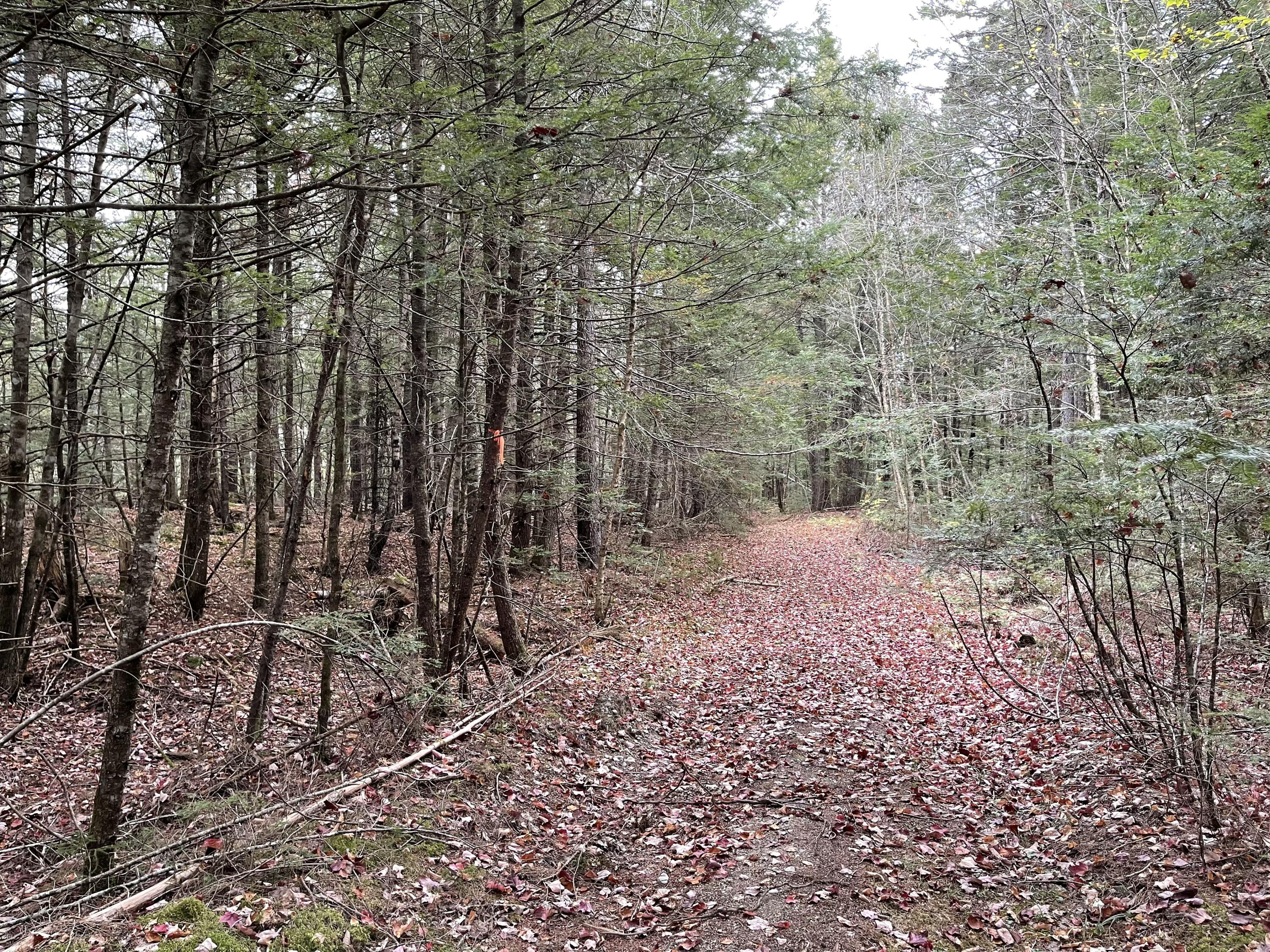 Lot 3-b West Branch Road Mariaville ME 04605
